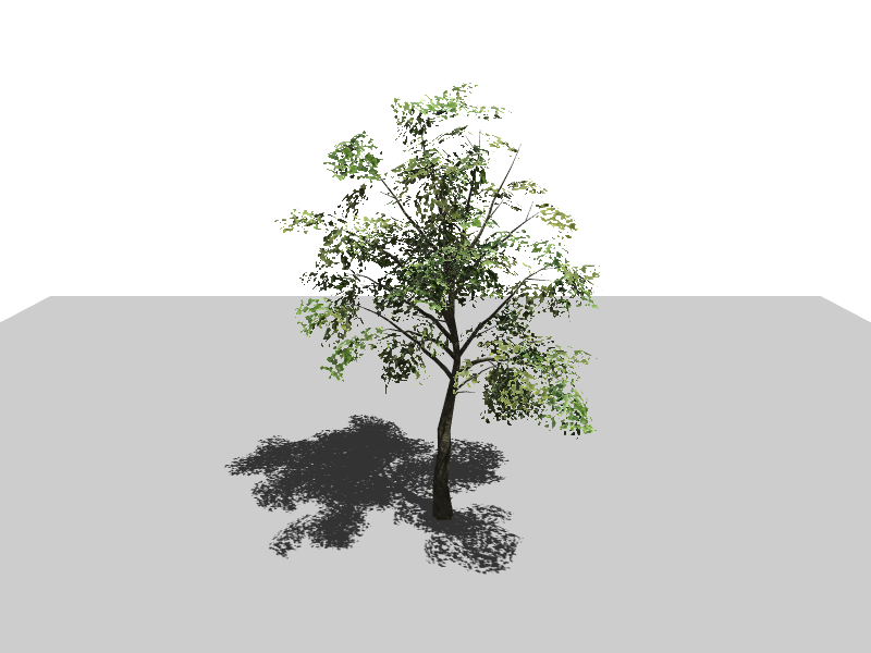 Tree Model with Shadow ClayGL example